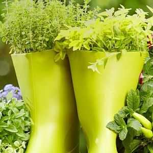 Meet your Posher, Gail